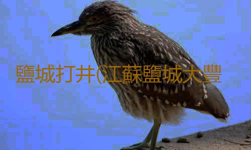 鹽城打井(江蘇鹽城大豐:“姑蘇翁”“抖”出精氣神)