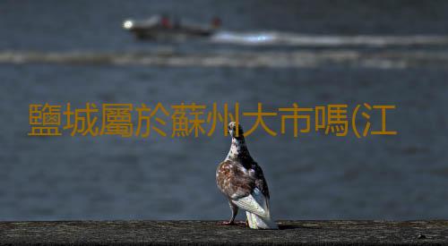 鹽城屬於蘇州大市嗎(江蘇13市全國排名:3市前十,鹽城第33,宿遷取得突破)